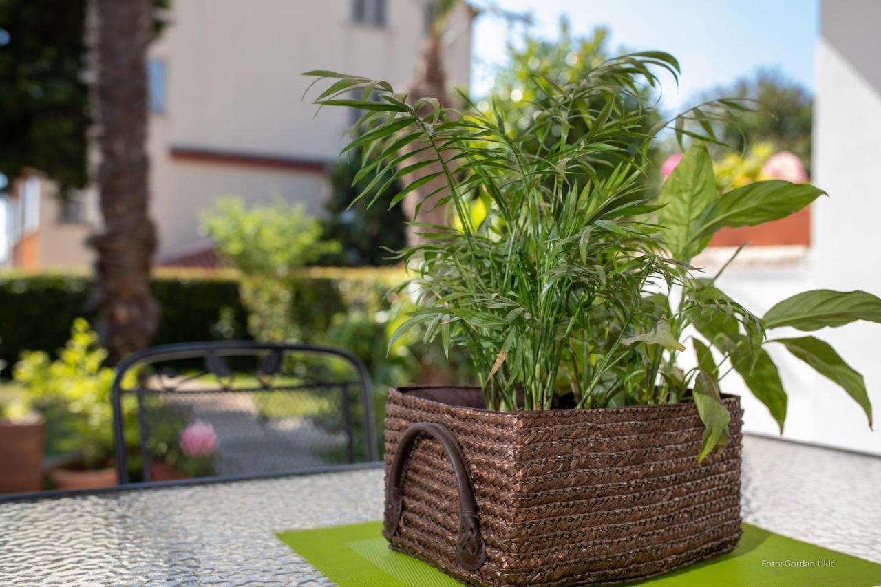Apartman Luka Rovigno Esterno foto